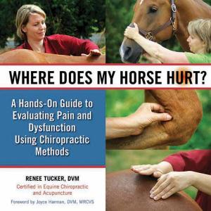 Cover of the book Where Does My Horse Hurt? by Jane Savoie, Rhett B Savoie