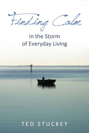 Cover of the book Finding Calm by Dave Takisaki
