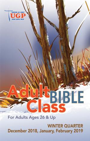 Cover of the book Adult Bible Class by David Rowland