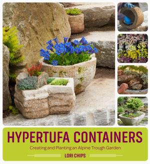 Cover of the book Hypertufa Containers by Alberto de la Madrid