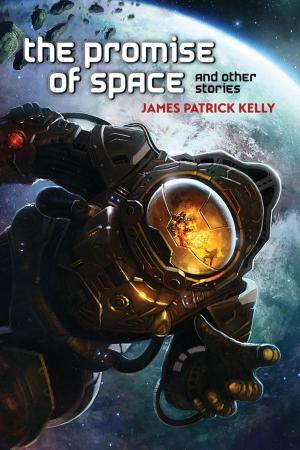 Cover of the book The Promise of Space and Other Stories by Steve Berman