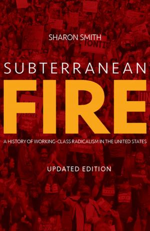 Cover of the book Subterranean Fire (Updated Edition) by Rebecca Solnit