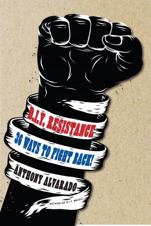 Cover of the book DIY Resistance by Human Rights Watch