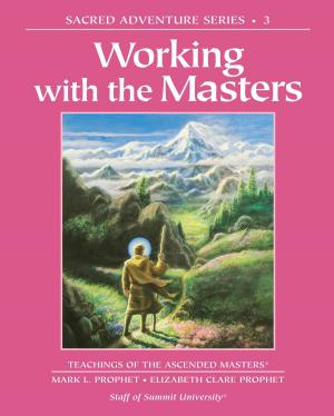 Cover of the book Working with the Masters by Sasha Sekuloski