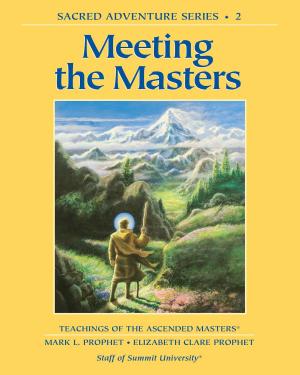 Book cover of Meeting the Masters