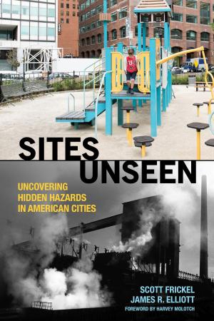 Cover of the book Sites Unseen by Frank D. Bean, Susan K. Brown, James D. Bachmeier, Susan Brown, James Bachmeier