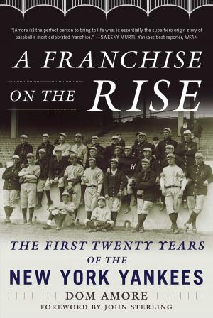 Cover of the book A Franchise on the Rise by Todd Spehr