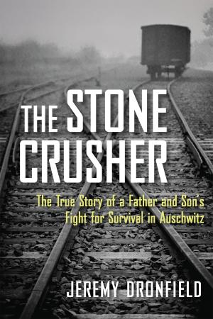 Book cover of The Stone Crusher