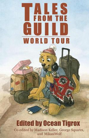 Cover of Tales from the Guild – World Tour