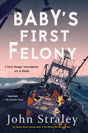 Cover of the book Baby's First Felony by David A. Byrne