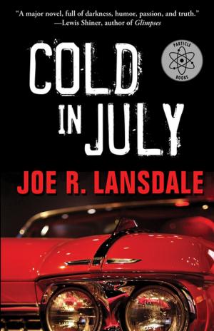Cover of the book Cold in July by Ashley York