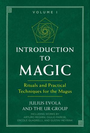 Book cover of Introduction to Magic