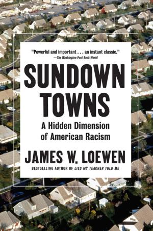 Cover of the book Sundown Towns by Rita Goldberg