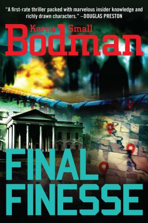 Cover of the book Final Finesse by Shane O'Brien MacDonald