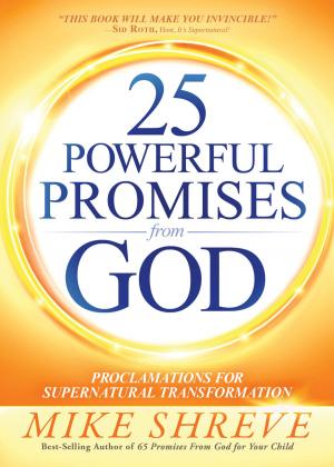 Book cover of 25 Powerful Promises From God