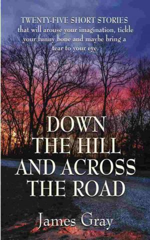 Cover of the book Down the Hill and Across the Road by Lottie and Henry Burger