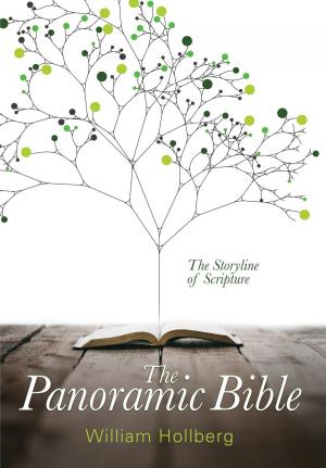 Cover of the book The Panoramic Bible by William MacDonald