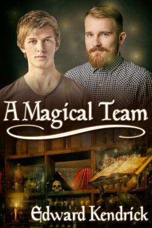 Cover of the book A Magical Team by R.W. Clinger