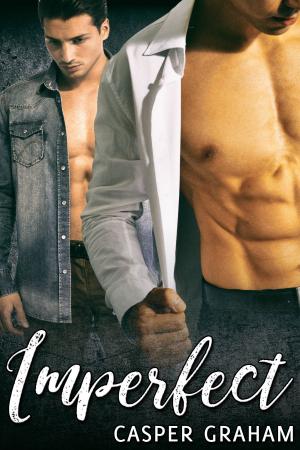 Cover of the book Imperfect by Kim Davis