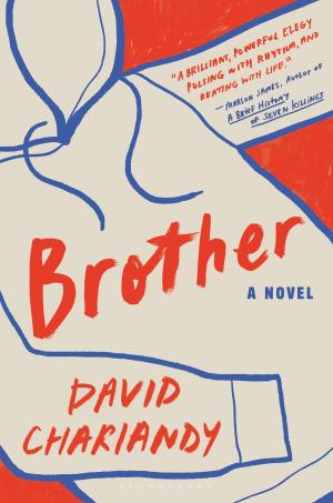 Cover of the book Brother by Chris McNab