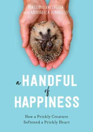 Cover of the book A Handful of Happiness by S. Jackson, A. Raymond