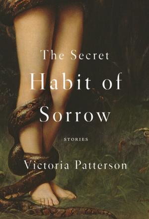 Cover of the book The Secret Habit of Sorrow by Mary Robison
