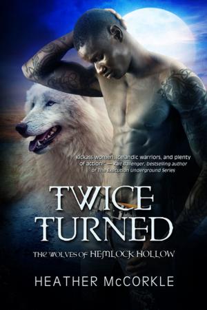 Book cover of Twice Turned