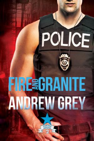 Cover of the book Fire and Granite by Kim Fielding