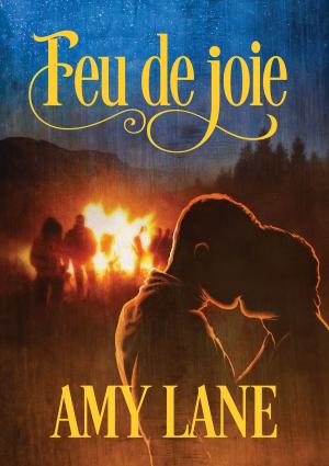 Book cover of Feu de joie