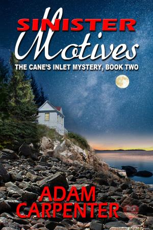 Cover of the book Sinister Motives by Diana DeRicci