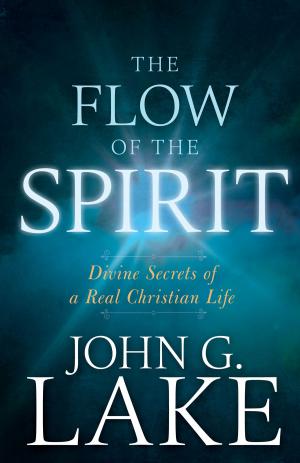 Book cover of The Flow of the Spirit