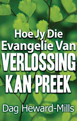 Cover of the book Hoe jy die evangelie van verlossing kan preek by Christine Hoover