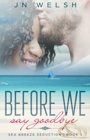 Cover of the book Before We Say Goodbye by Anna Harrington