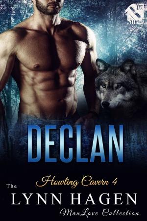 Cover of the book Declan by Natalie Acres
