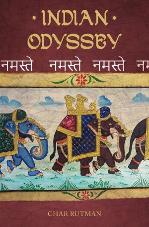 Cover of the book Indian Odyssey by Ph.D. Mary Hilaire (Sally) Tavenner