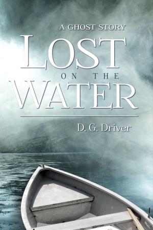 Cover of the book Lost on the Water by Nell DuVall