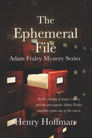Cover of the book The Ephemeral File by Jaden Sinclair