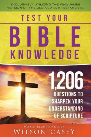 Cover of the book Test Your Bible Knowledge by Susanna Zacke, Sania Hedengren, Magnus Selander