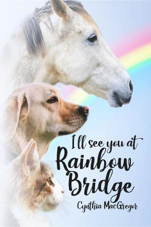 bigCover of the book I'll See You at Rainbow Bridge by 