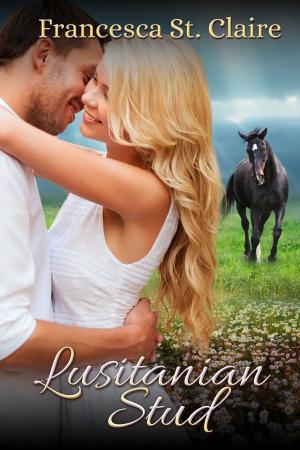 Cover of the book Lusitanian Stud by RaeLynn Blue