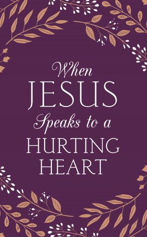 Book cover of When Jesus Speaks to a Hurting Heart