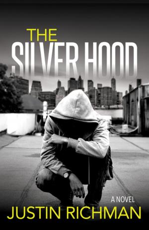 Cover of the book The Silver Hood by Katie Coates