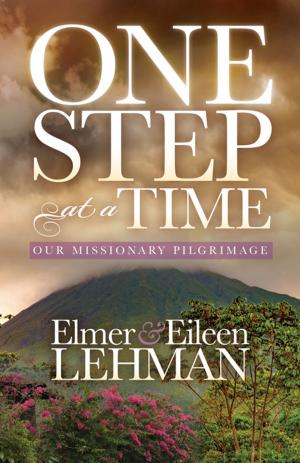 Cover of the book One Step at a Time by Kathy Obear