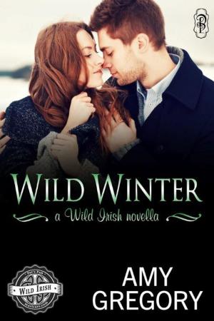 bigCover of the book Wild Winter by 