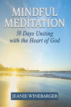 Cover of the book Mindful Meditation by Sherri Sumstine