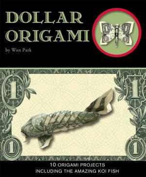 Cover of the book Dollar Origami by Nancy J. Hajeski