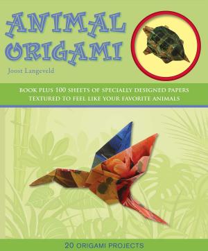 Cover of the book Animal Origami by Nancy J. Hajeski