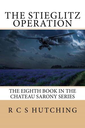 Cover of the book The Stieglitz Operation by Anson Scott