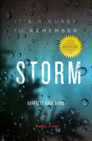 Cover of the book STORM by Brent Peacock