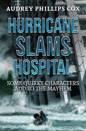 Cover of the book Hurricane Slams Hospital by Mary Pat Hyland
